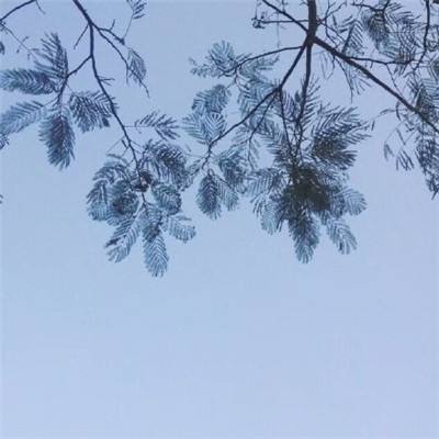 豪门继承人最新版