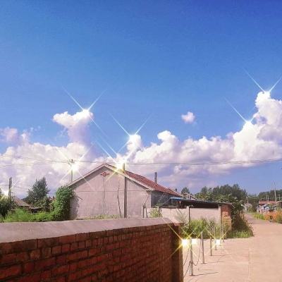 死神嘉年华游戏下载